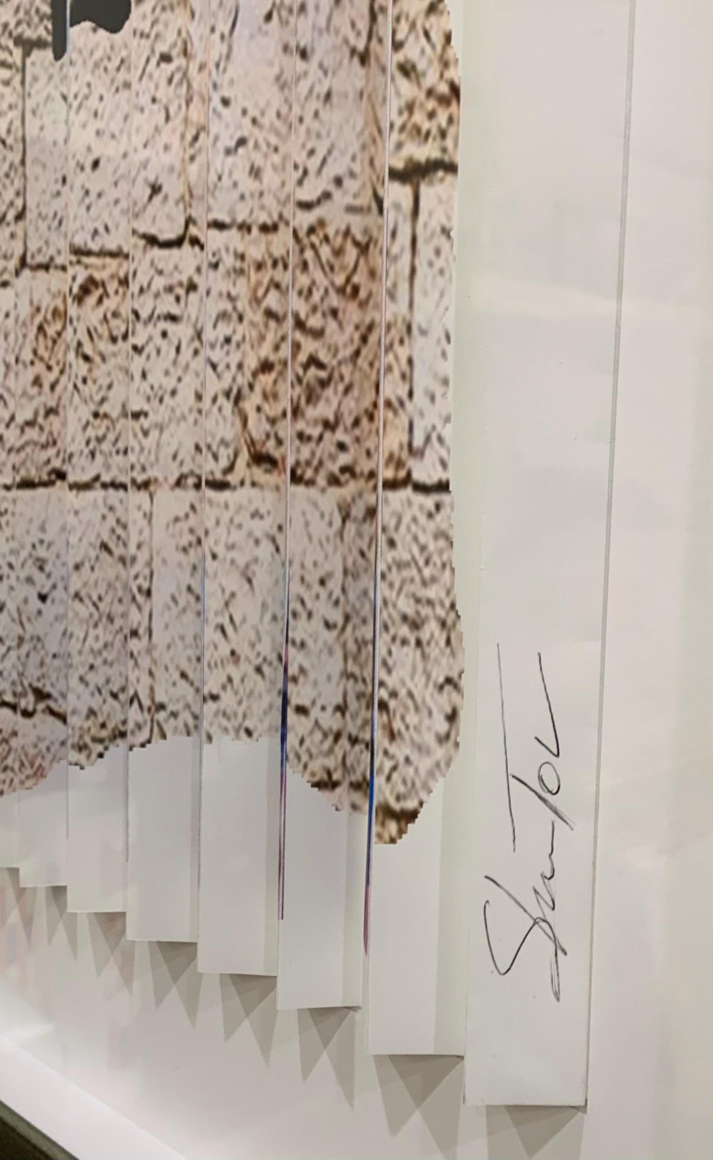 Shem Tov "Praying at the Wall" 3D Wall Sculpture Hand Signed Custom Framed COA Three Sizes