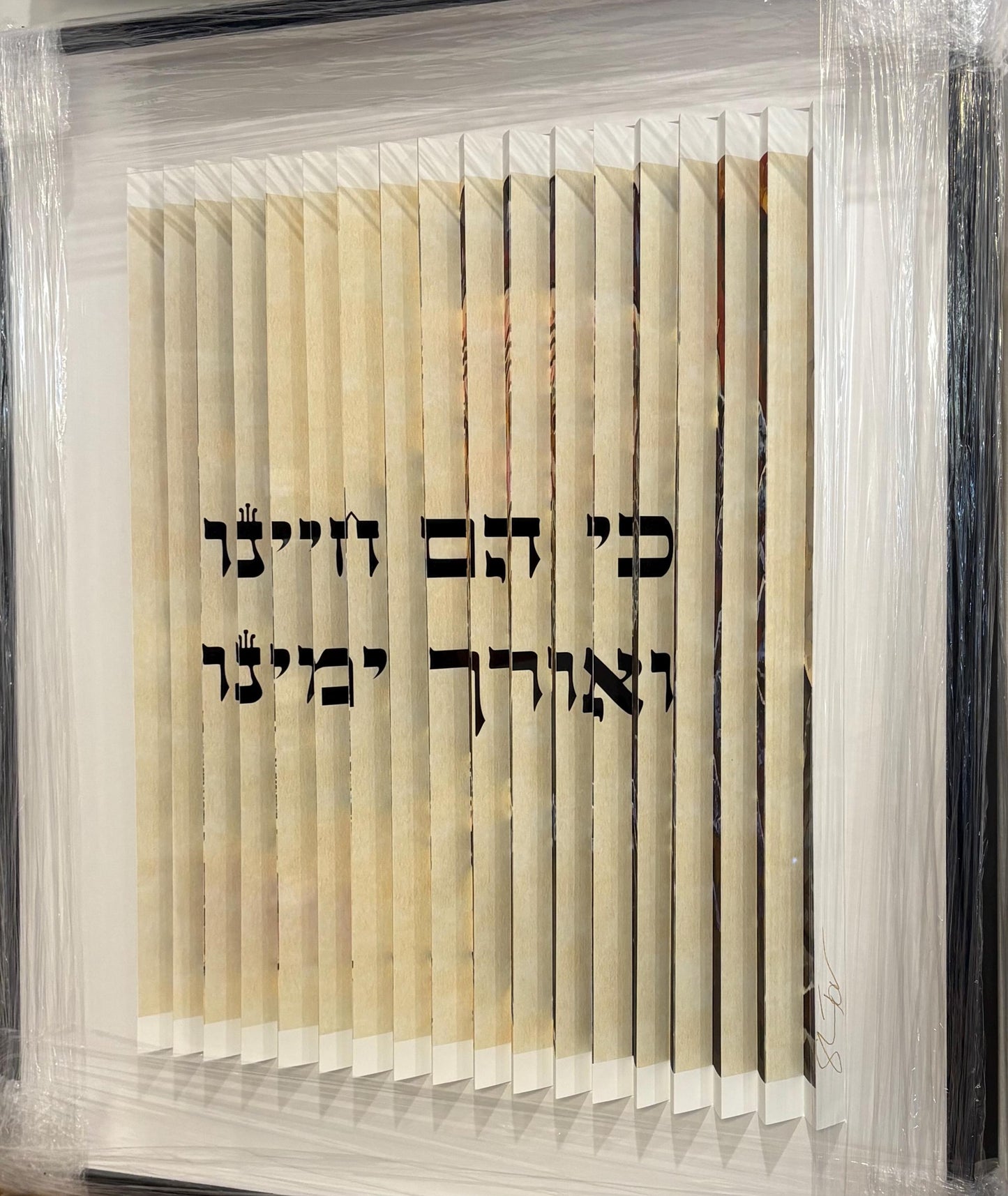 Rav Moshe Feinstein 3D Wall Sculpture